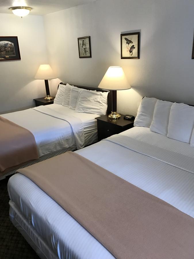 Gold Pan Lodge Quincy Zewnętrze zdjęcie